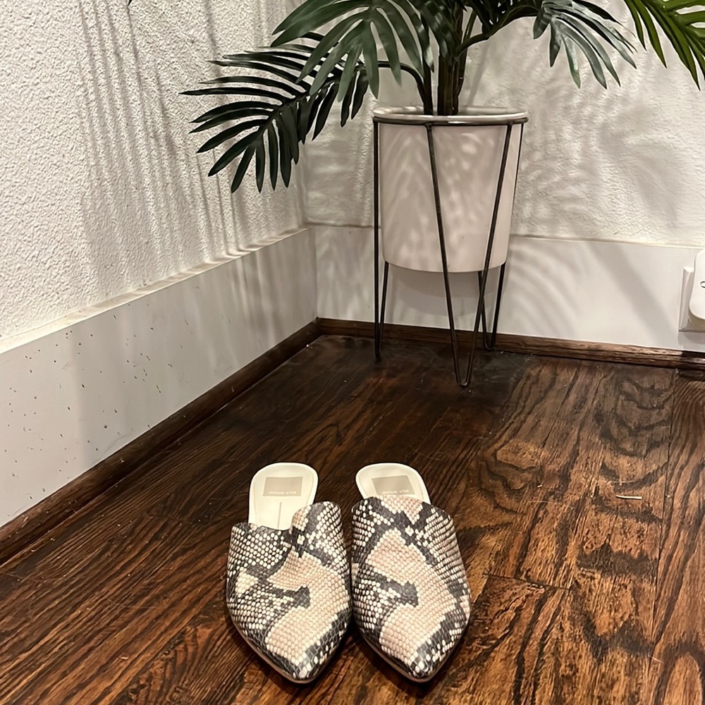 Adorable Snake Mule